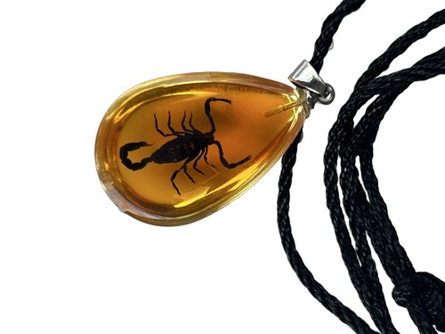 Real scorpion teardrop pendant - scorpion,
